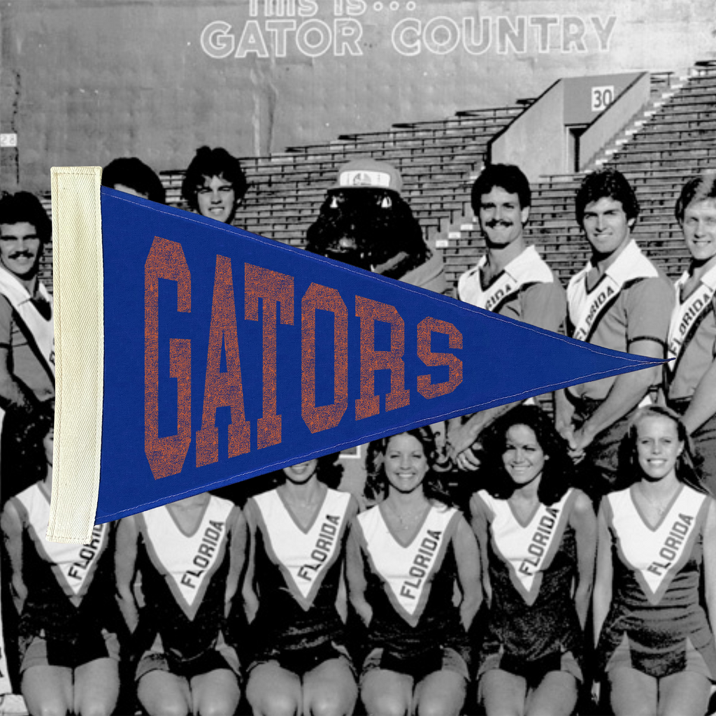 Gators Pennant