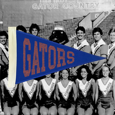 Gators Pennant